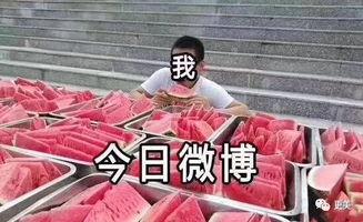 热门大瓜每日大赛 吃瓜网 吃瓜前线第一人,吃瓜网、吃瓜前线第一人生动演绎人生百态